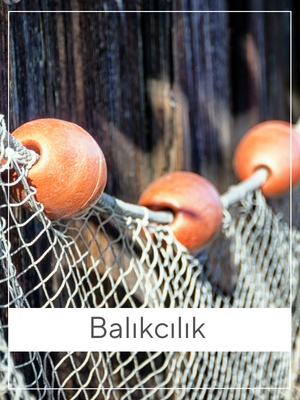 balikcilik-rope